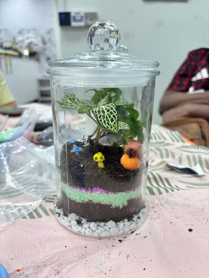 Completed terrariums made by seniors at Edufarm Golden Years Club